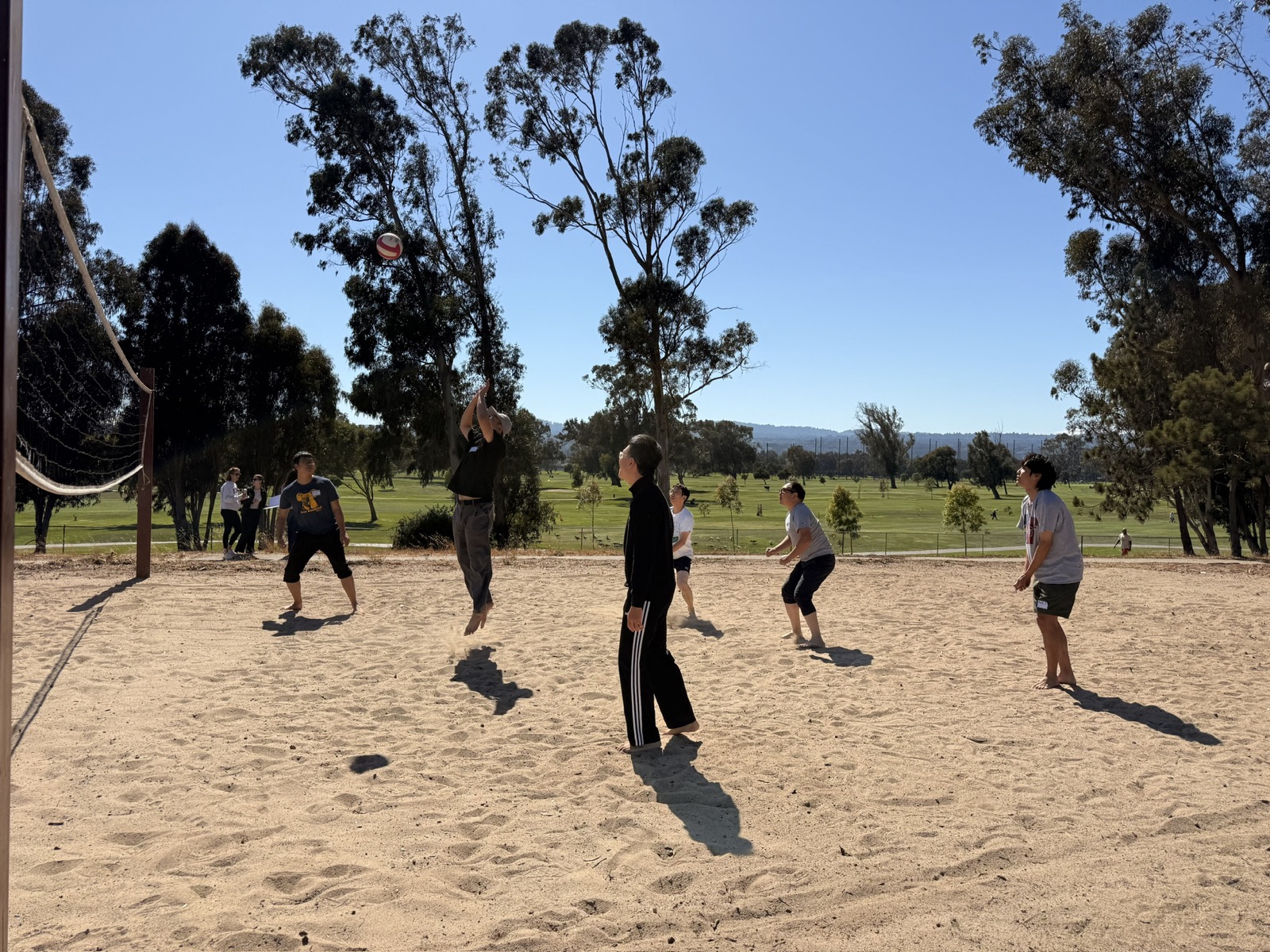 Six people playing volleyball on a sand court under eucalyptus trees, one player jumping to hit the ball, with a green golf course behind.