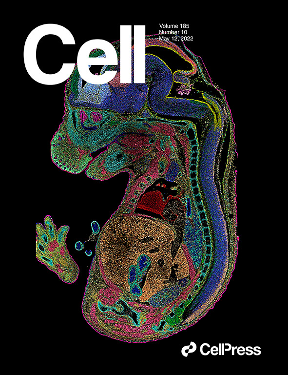 Stereo-seq Paper Image