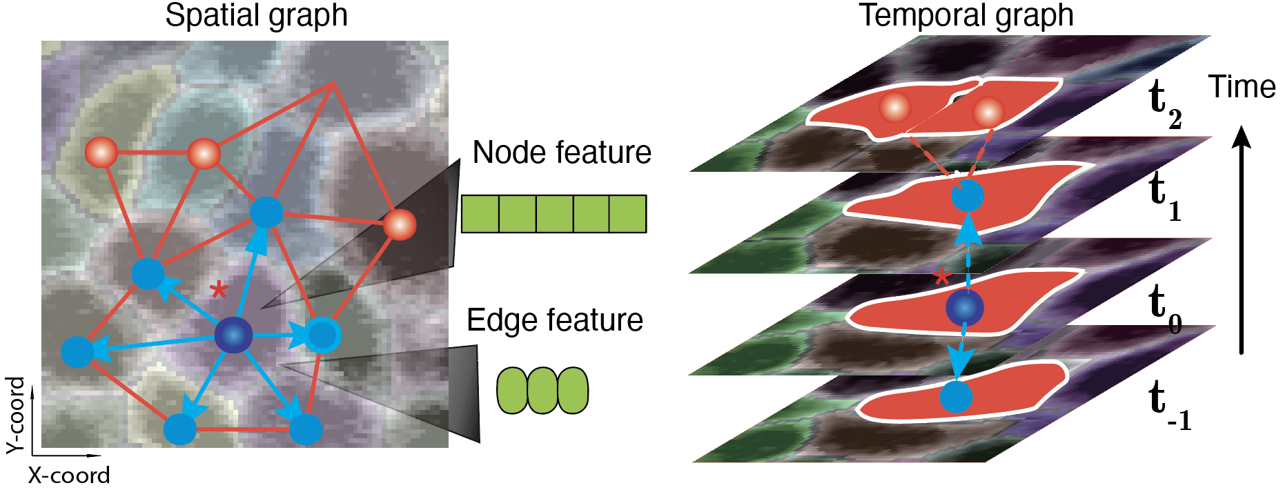 Stereo-seq cover paper